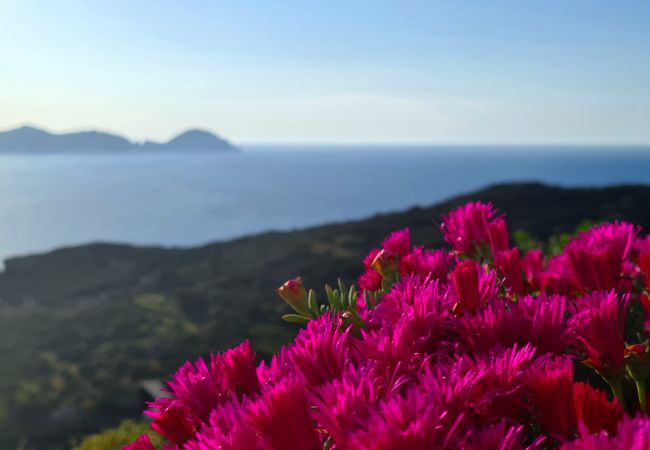 Affitto per camere a Ponza - B&B Il Gabbiano camera matrimoniale 01