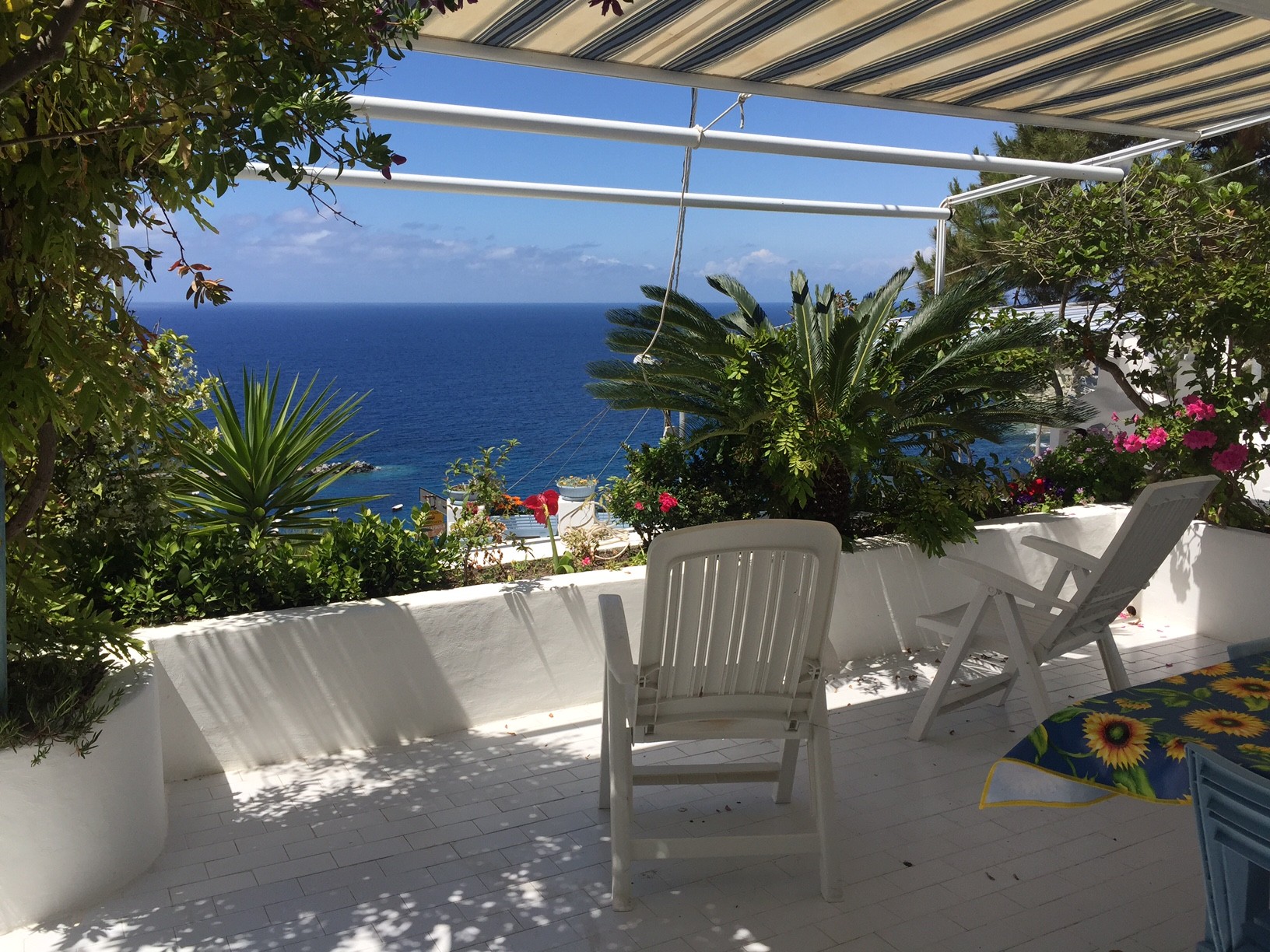 Appartamenti A Ponza Prezzi Appartamenti A Ponza Prezzi