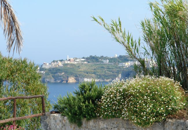 Appartamento a Ponza - Turistcasa - Frontone 47 -