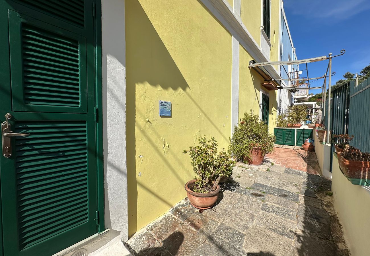 Appartamento a Ponza - Turistcasa - Il soldino 46 -