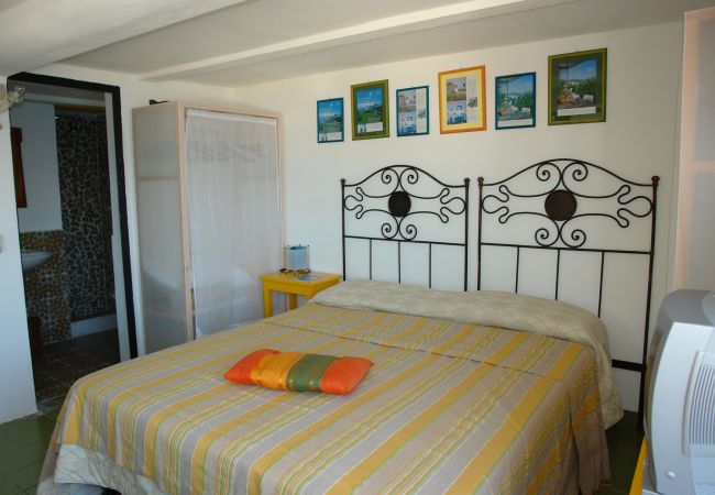 Affitto per camere a Ponza - b&b La Limonaia a mare 06