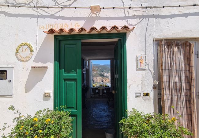 Affitto per camere a Ponza - b&b La Limonaia a mare 04