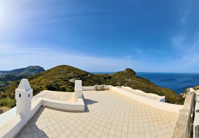 Villa a Ponza - Turistcasa - Villa Il Gabbiano -