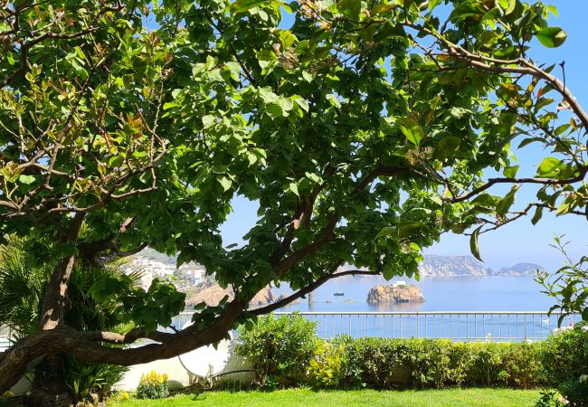 Villa a Ponza - Turistcasa -Villa  La Limonaia a mare