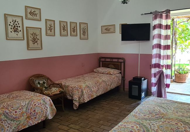 Villa a Ponza - Turistcasa -Villa  La Limonaia a mare