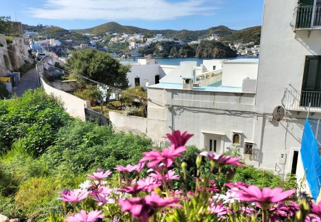 Affitto per camere a Ponza - B&B Casa Elvira 1