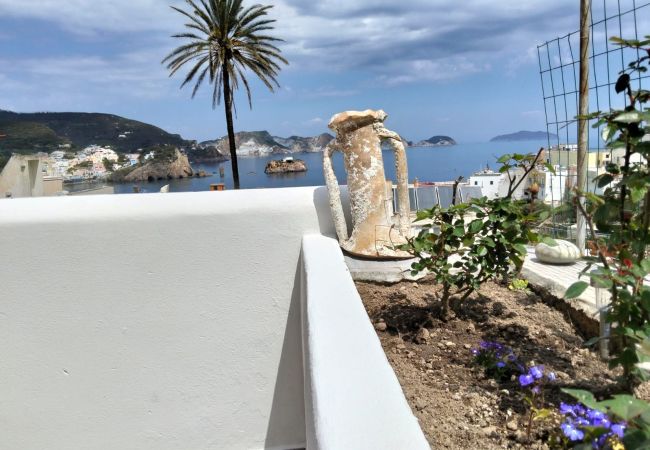 Appartamento a Ponza - Turistcasa - Isolamì 2 -