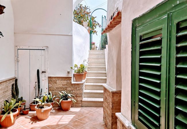 Ferienwohnung in Ponza - Turistcasa - Scotti 26 -