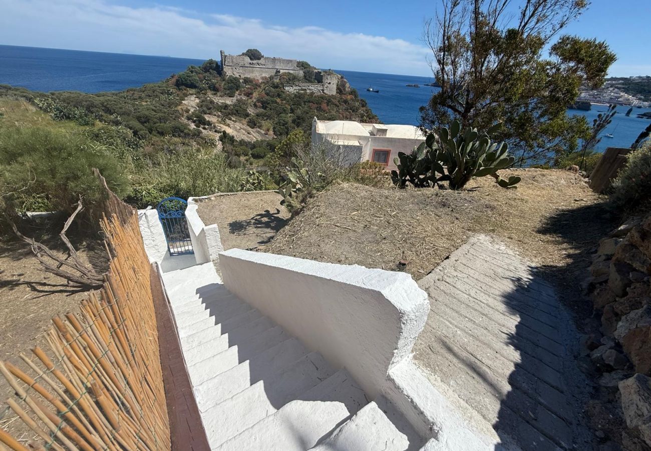 Ferienwohnung in Ponza - Turistcasa - Frontone 48 -