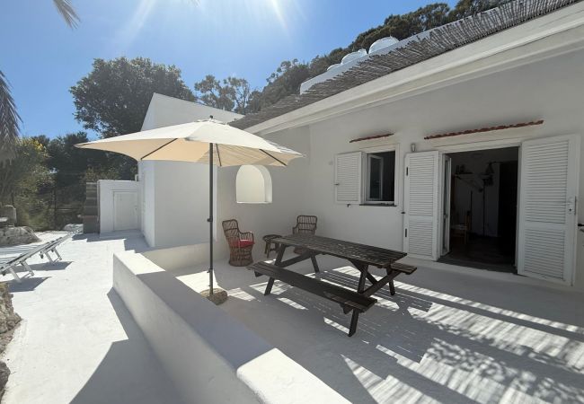 Ferienwohnung in Ponza - Turistcasa - Frontone 47 -