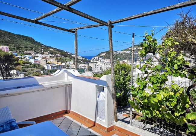 Ferienwohnung in Ponza - La Maison Fiorita - mono La Vite -