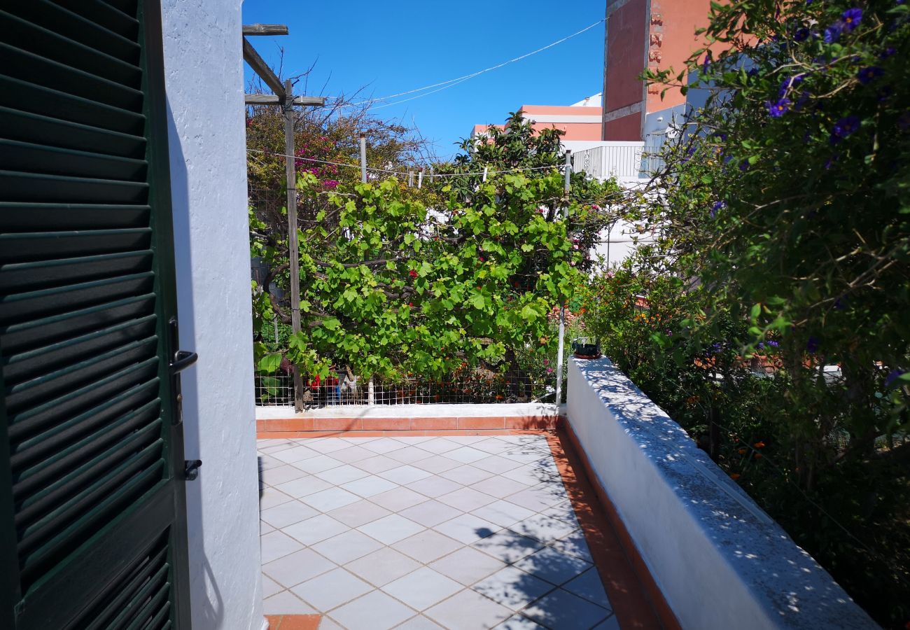 Ferienwohnung in Ponza - La Maison Fiorita - mono La Vite -