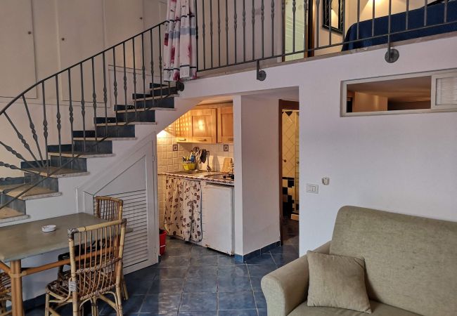 Ferienwohnung in Ponza - Turistcasa - Pilato 8 -