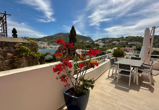 Ferienwohnung in Ponza - Turistcasa - Gitti House -