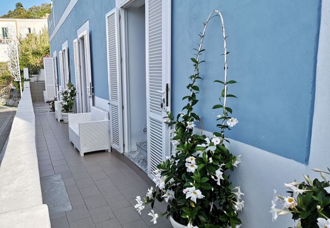 Rent by room in Ponza - b&b Casa d'aMare  - Granello di Sabbia-