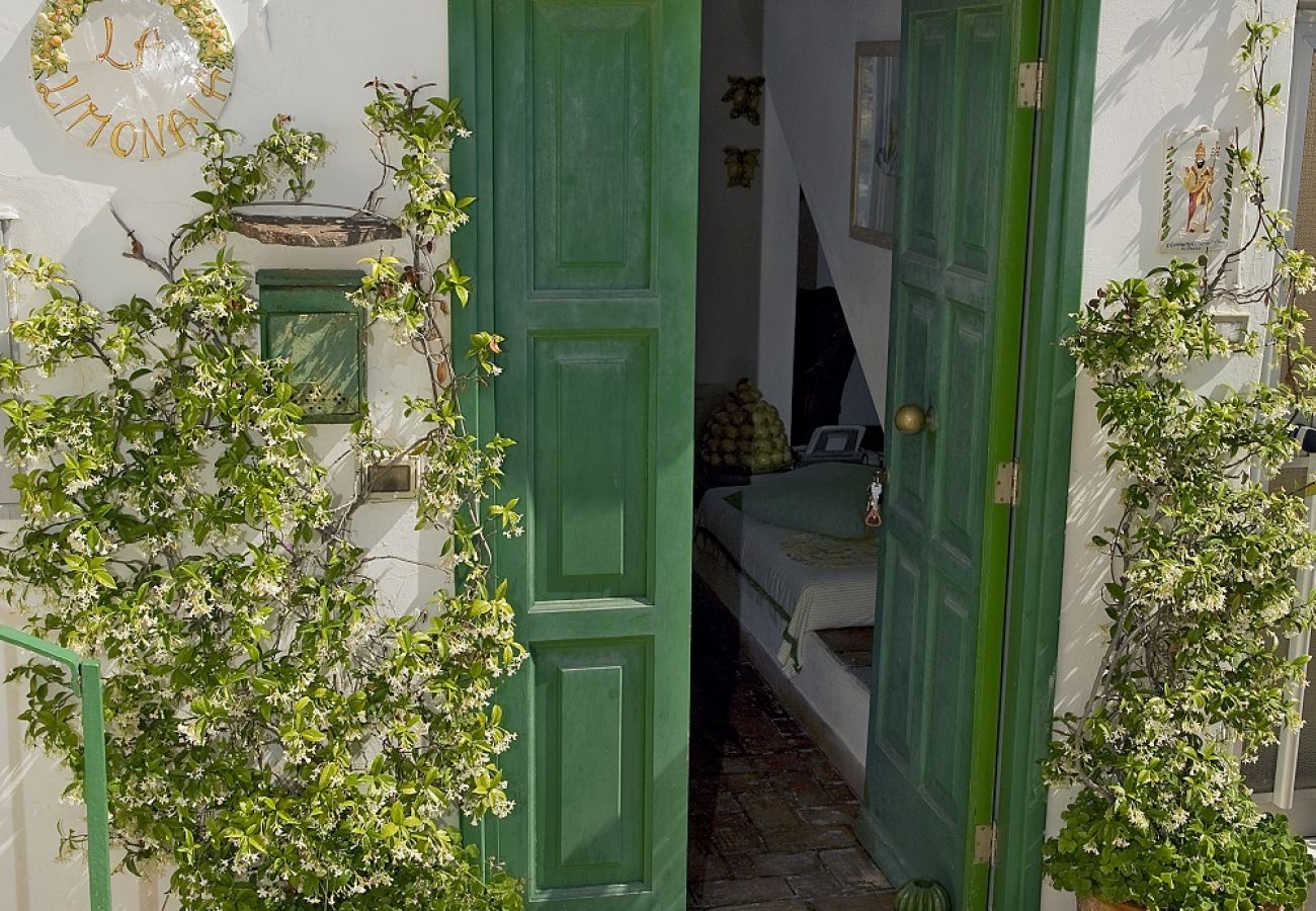 Rent by room in Ponza - b&b La Limonaia a mare 01