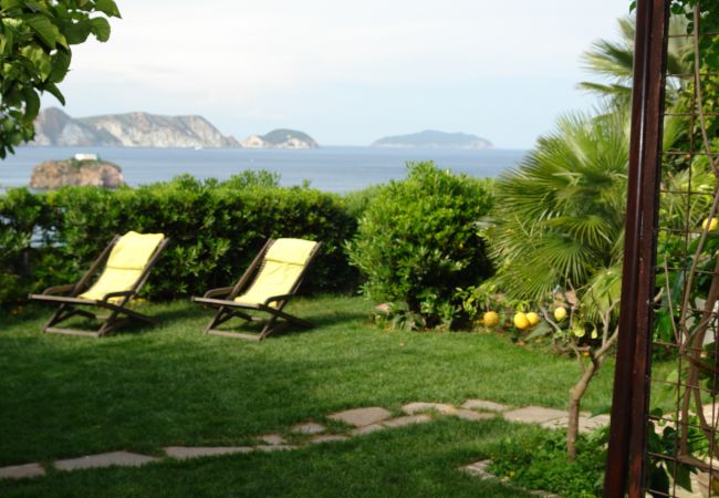 Rent by room in Ponza - b&b La Limonaia a mare 06