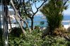 Rent by room in Ponza - b&b La Limonaia a mare 06