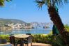 Rent by room in Ponza - b&b La Limonaia a mare 04