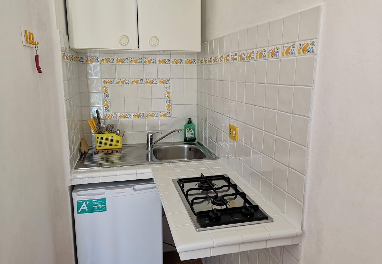 Apartment in Ponza - La Maison Fiorita - mono La Vite -