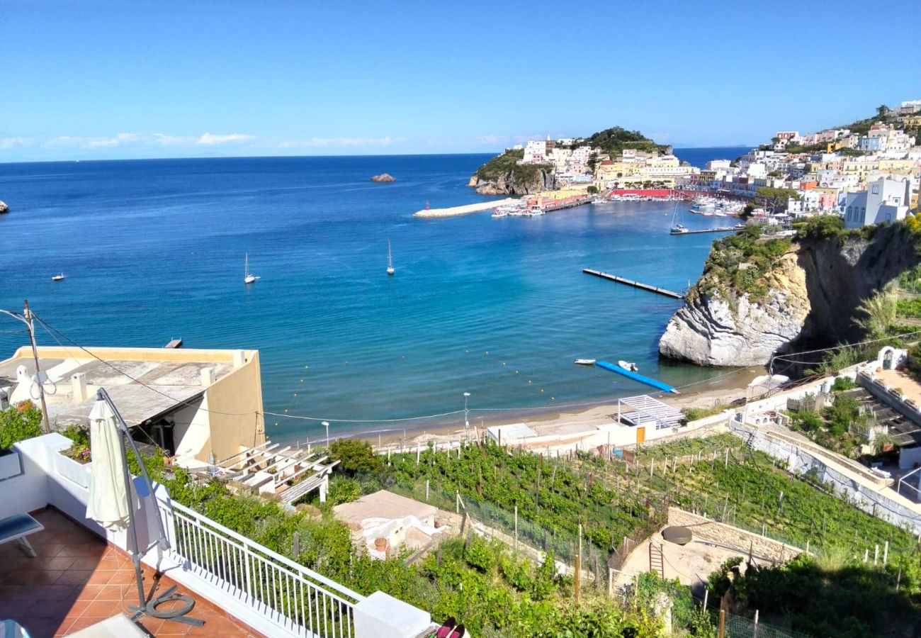 Apartment in Ponza - Turistcasa - Casa Pantaleone -
