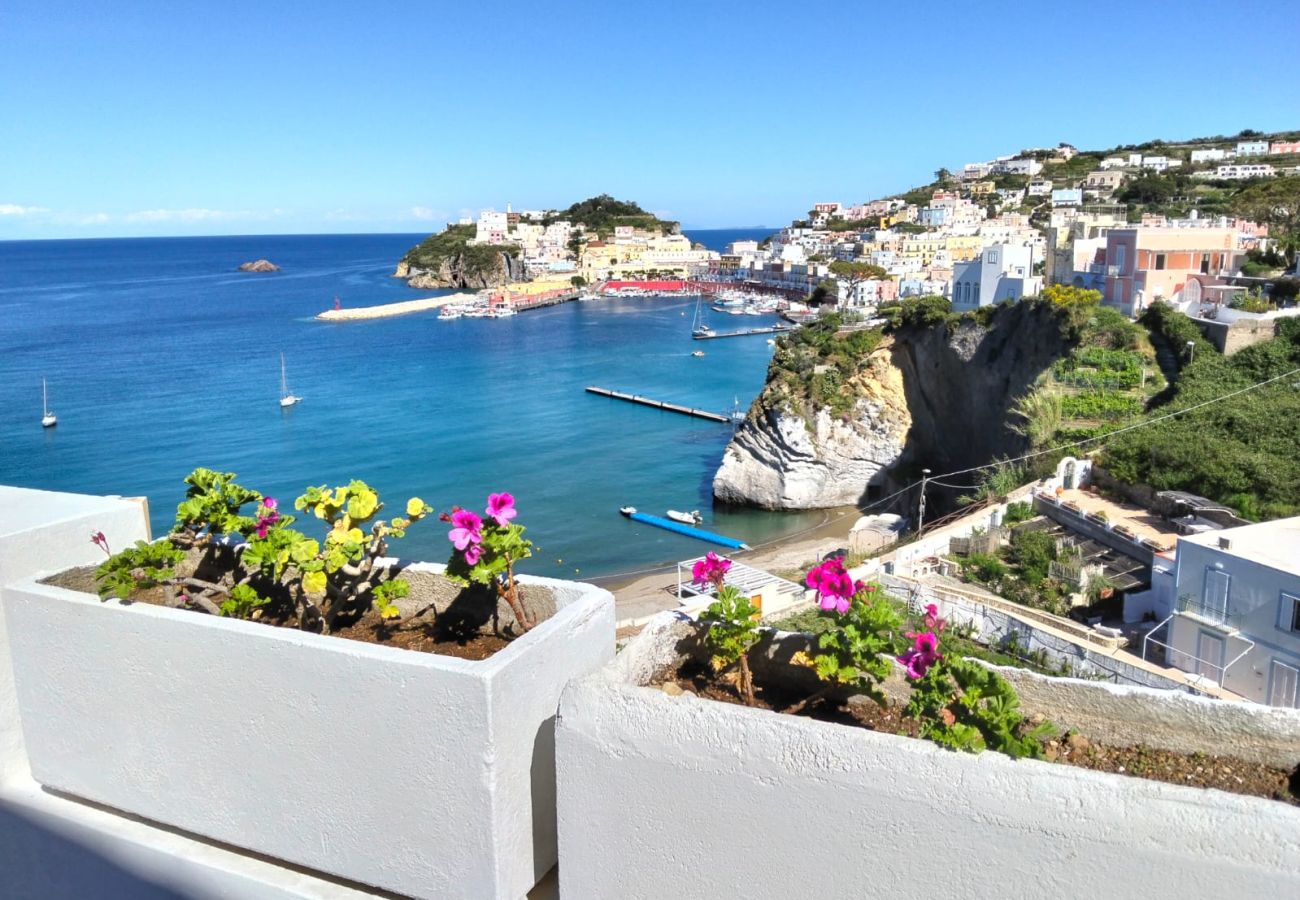 Apartment in Ponza - Turistcasa - Casa Pantaleone -