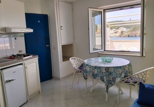 Apartment in Ponza - Turistcasa - Gattadamare -