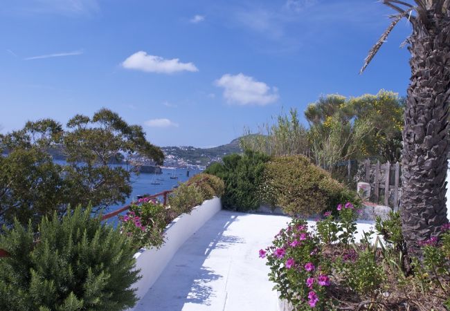 Appartement à Ponza - Turistcasa - Frontone 47 -