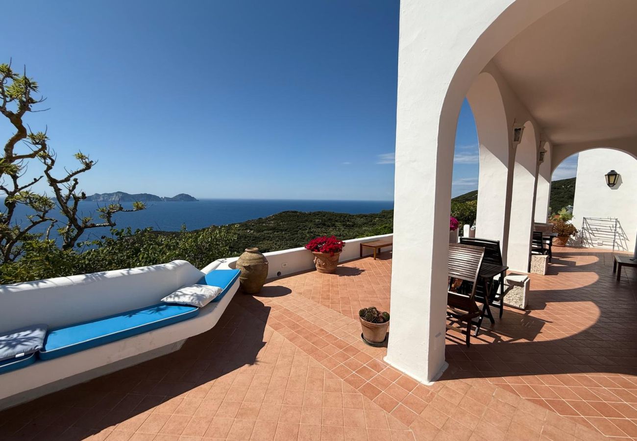 Rent by room на Ponza - B&B Il  Gabbiano Junior Suite
